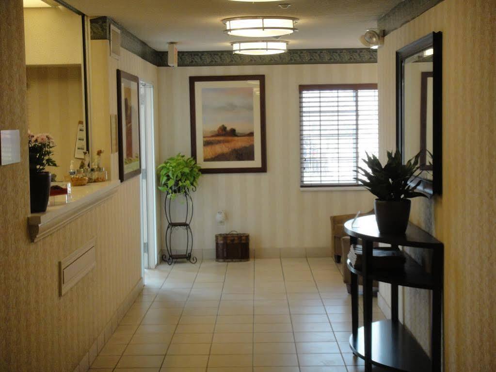 โซเนสตา ซิมพลี สวีท ชิคาโก เนเปอร์วิลล์ Hotel Warrenville ภายนอก รูปภาพ